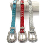 silver belt