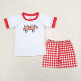 Matching Baby boys July Fourth short sleeve  outfits embroidery