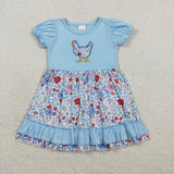 Matching Baby girls chicken blue flower dress outfits embroidery
