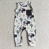 Cactus and cow romper